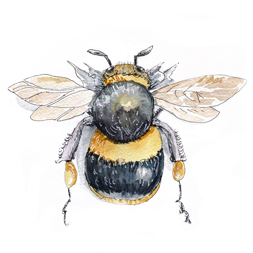 beePresent - favicon - 2022-02