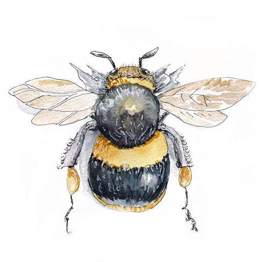 https://www.beepresentwithjonna.com/wp-content/uploads/2022/02/cropped-beePresent-favicon-2022-02.png